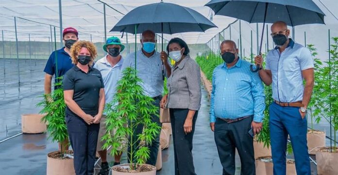 Saint Lucia Government to hold Cannabis symposium this weekend