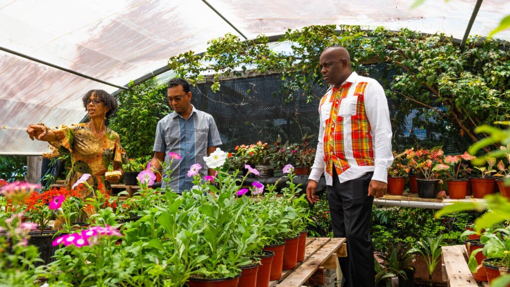 Dominica: PM Roosevelt Skerrit invites public to attend Flower Show and Market Fair at Giraudel/Eggleston