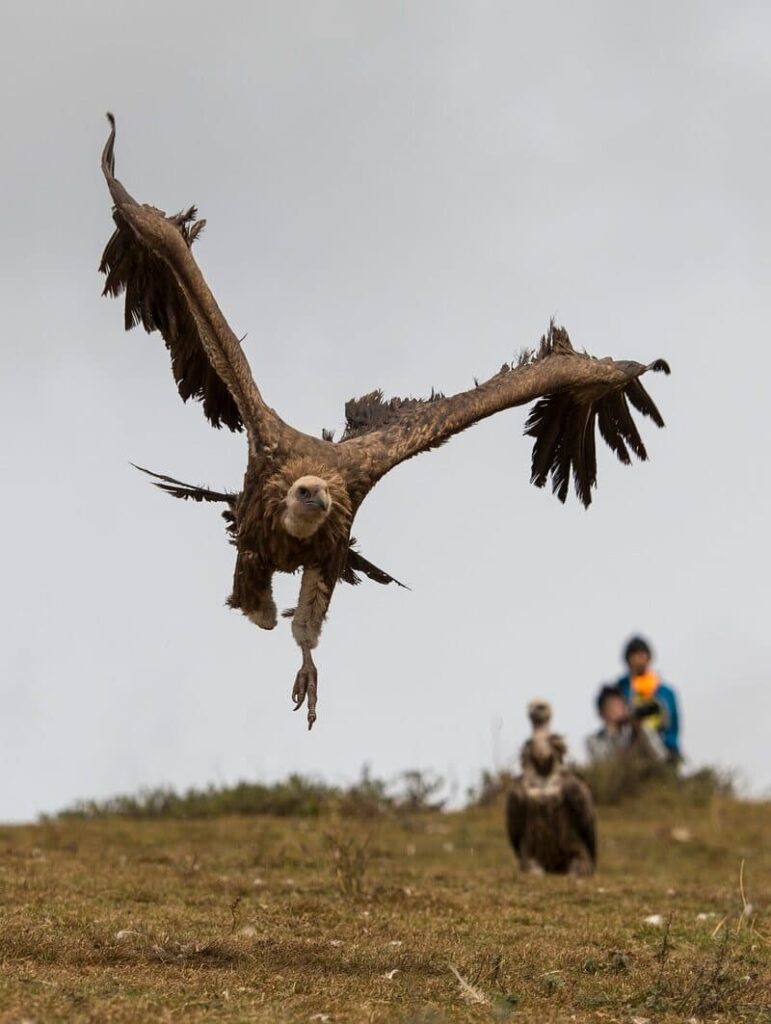 Sky Burial Custom. (Credits: Chensiyuan, Wikimedia)