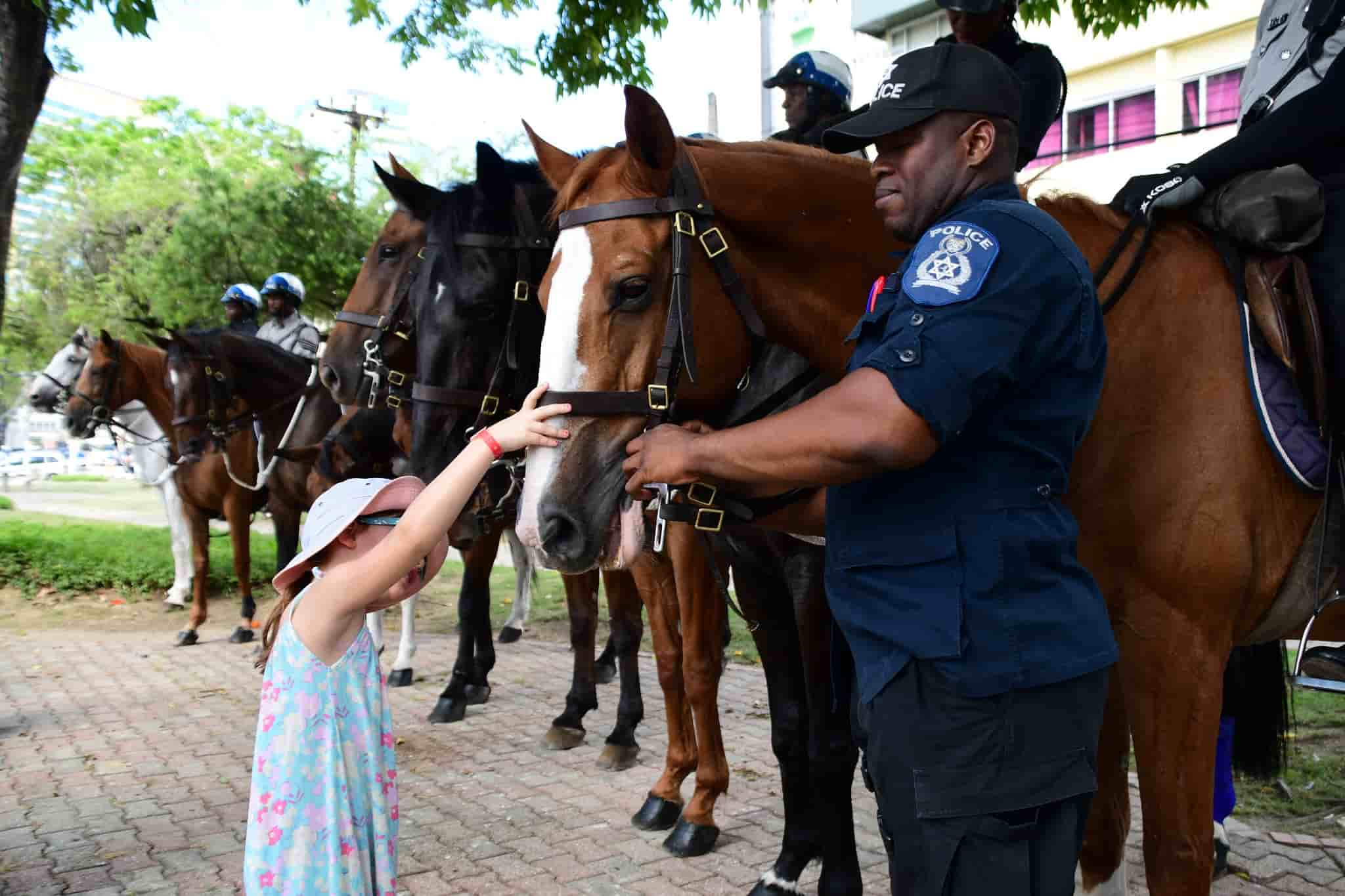 Tourists with Police Horses and Canines bringing much delight. (Credits: PC Keith Matthews, Facebook)