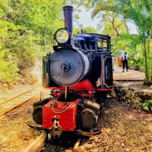 Beautiful train, St Nicholas Abbey's railway, credits to Visit Barbados Facebook Page