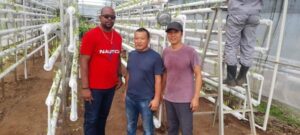 Agriculture Minister at Hydroponics system installed site, credits to Agriculture ministry Facebook Page 