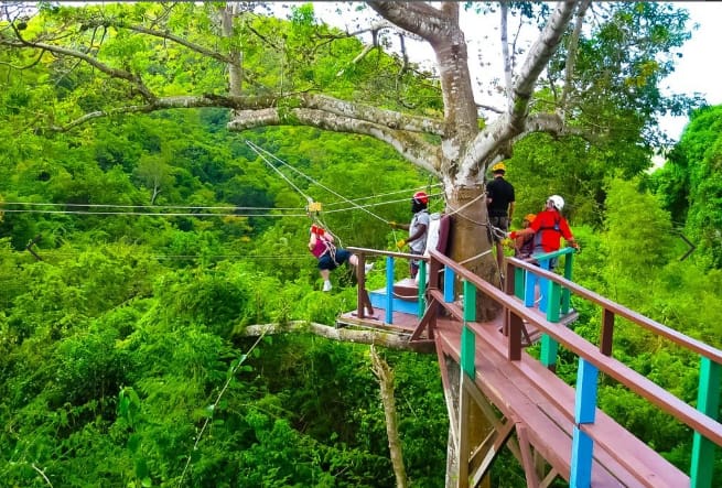 6-zipline journey through the forest. (Credits: Discover Antigua Barbuda, Facebook)