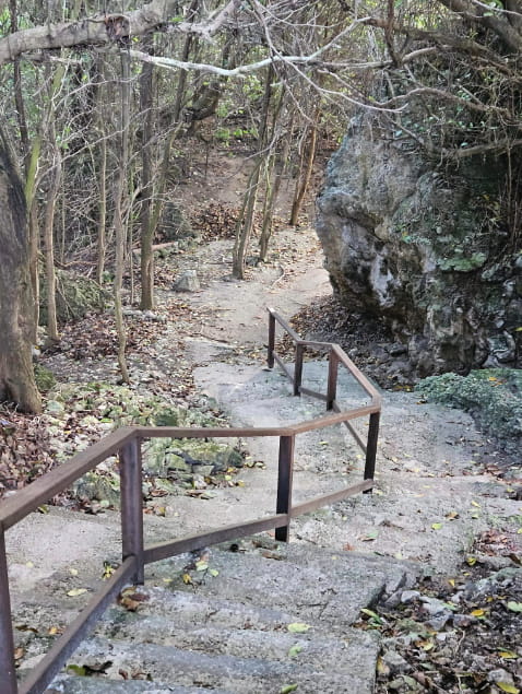 The steps to the cliff top for panoramic view of the south coast. (Credits: Russell Parkway, Facebook)