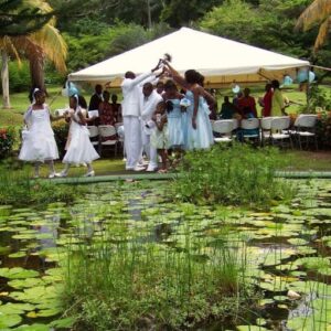 Botanic Gardens, St Vincent and the Grenadines. Picture credits: Fb accounts