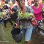 Agriculture Sector celebrates women in agriculture, credits to Facebook