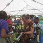 Agriculture Sector celebrates women in agriculture, credits to Facebook