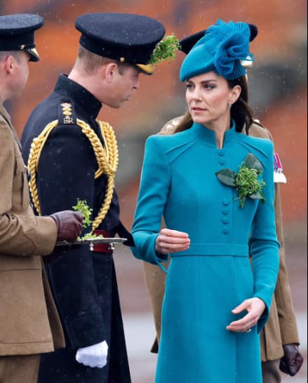 In Picture: The Princess of Wales, Kate. (Credits: National Times, Facebook)