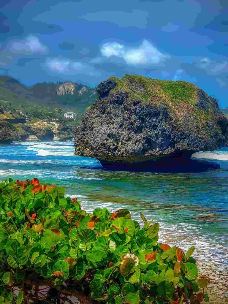 The famous 'Mushroom Rock' of Bathsheba Beach. (Credits: Reg Wilson, Facebook)