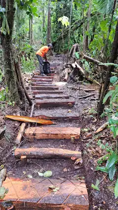 Dominica Cable Car crew maintains and repairs Boiling Lake trail amid construction.