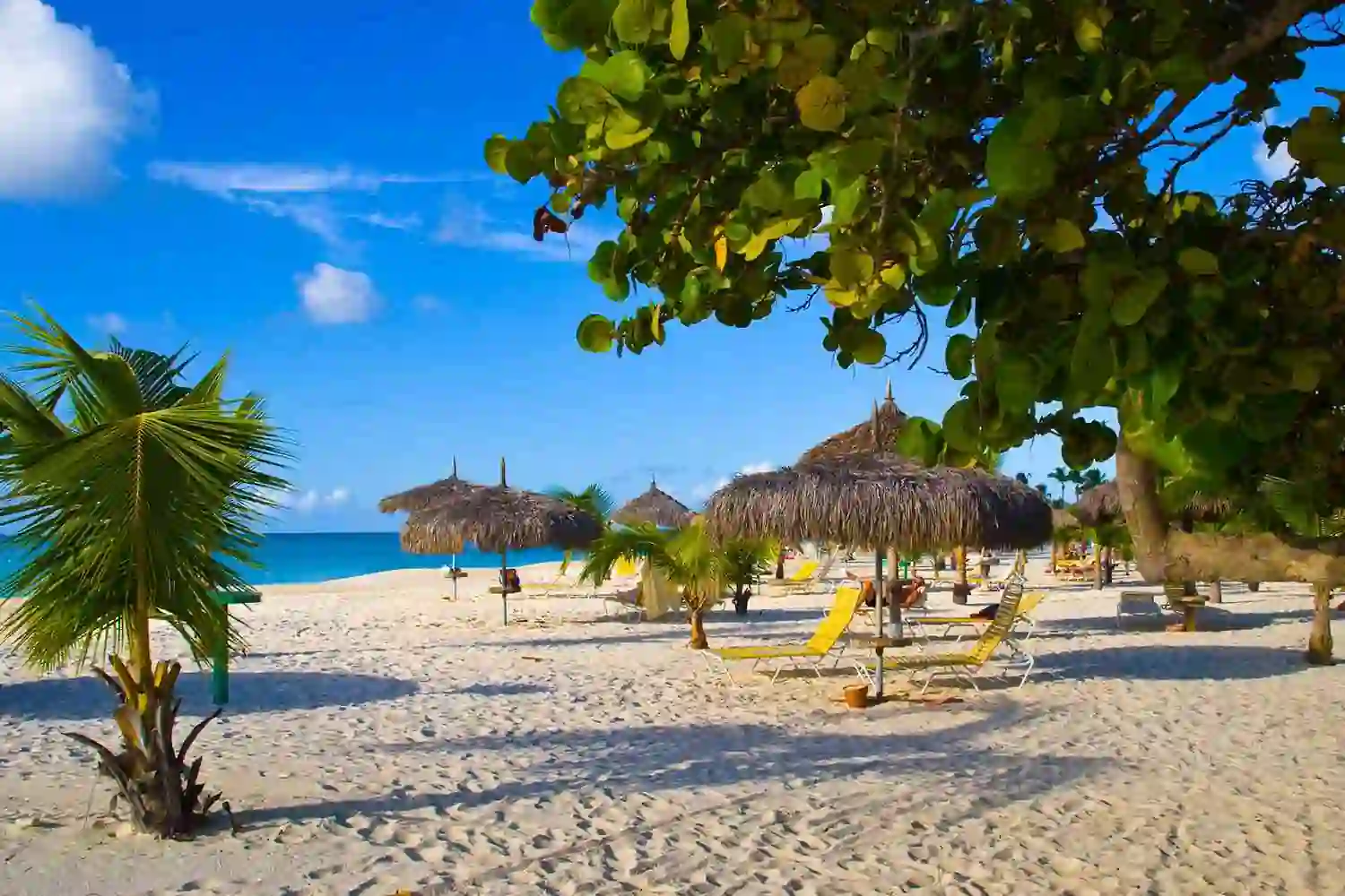 Aruba: The Island of Eternal Sunshine